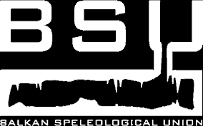 logo bsu - organisateur du concours