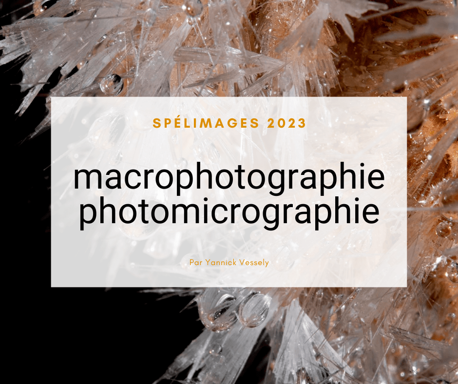 Macrophotographie et Photomicrographie